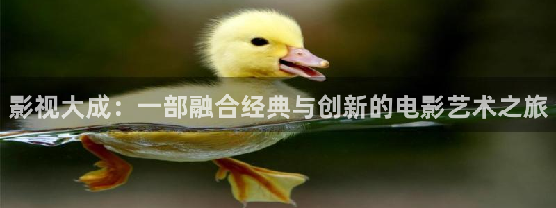 韩国久久精品电影